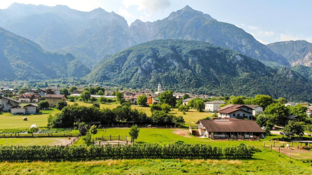 Agritur Airone Bed & Camping Levico Terme Zewnętrze zdjęcie