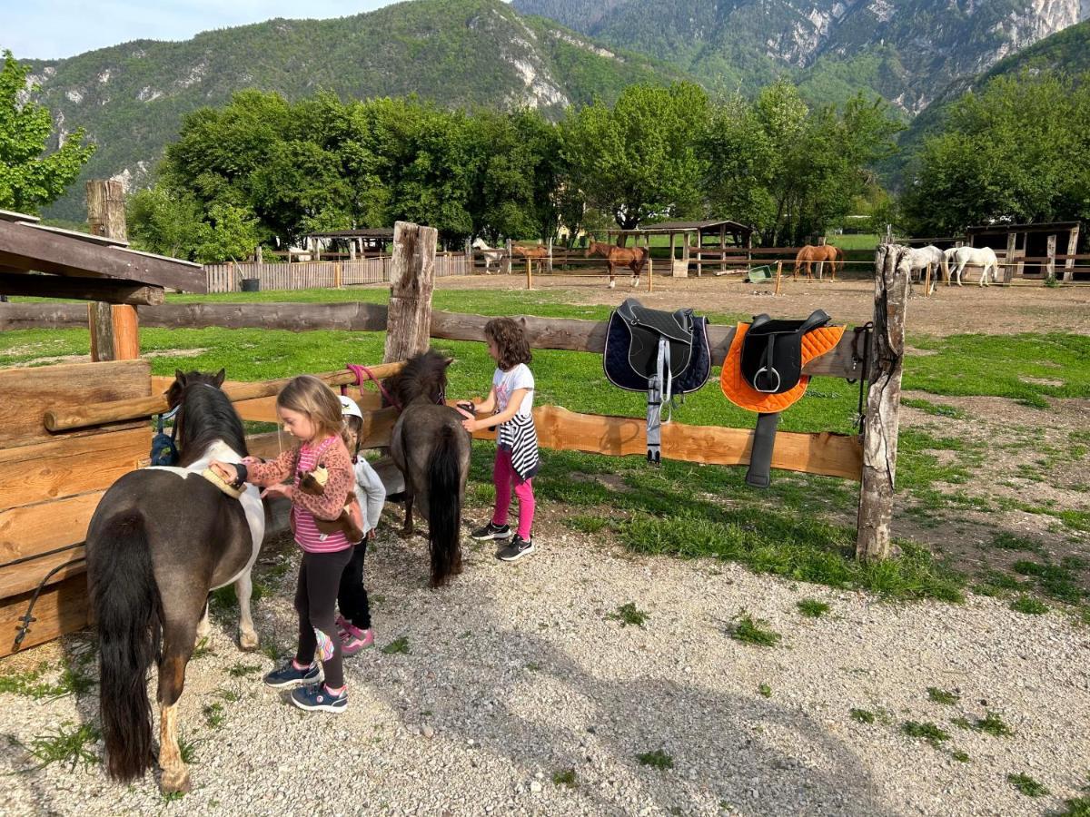 Agritur Airone Bed & Camping Levico Terme Zewnętrze zdjęcie