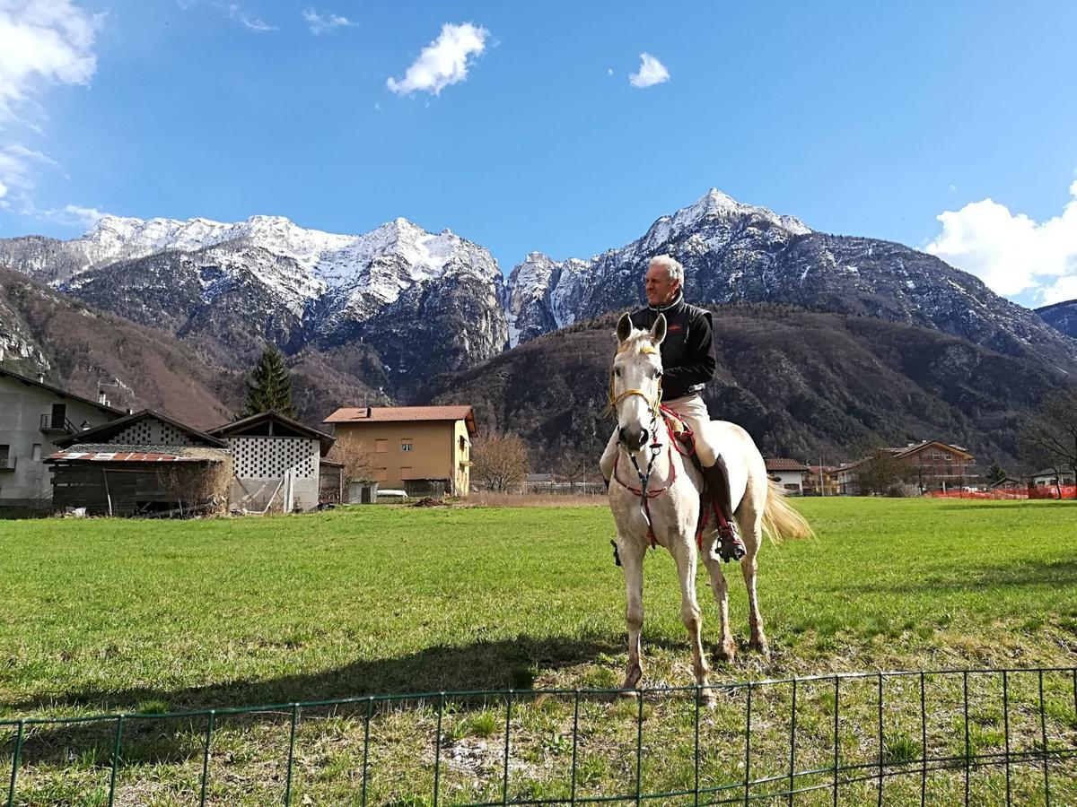 Agritur Airone Bed & Camping Levico Terme Zewnętrze zdjęcie
