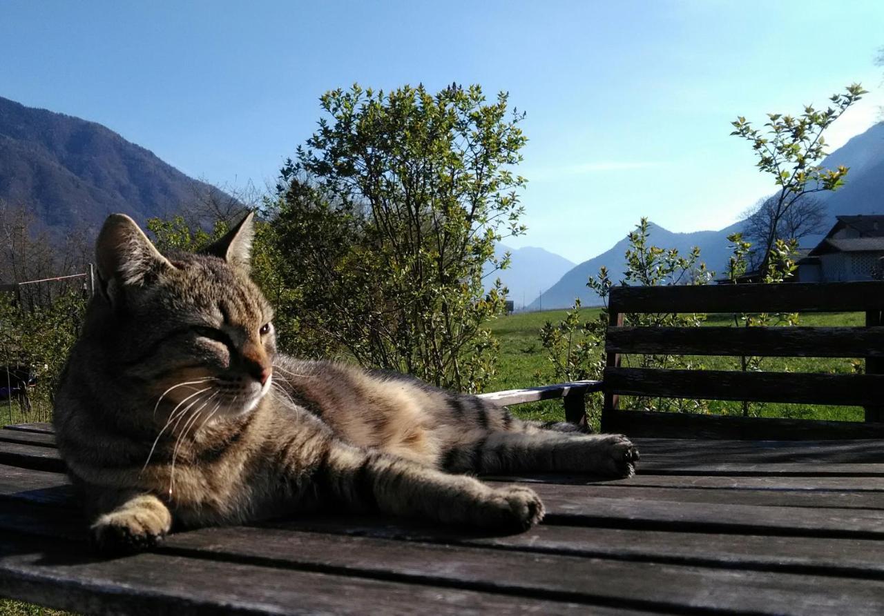 Agritur Airone Bed & Camping Levico Terme Zewnętrze zdjęcie