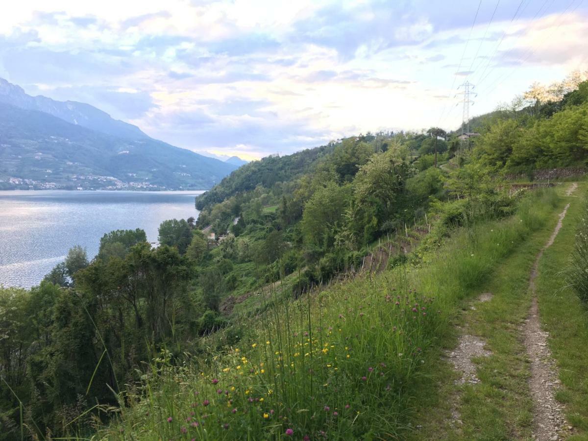 Agritur Airone Bed & Camping Levico Terme Zewnętrze zdjęcie