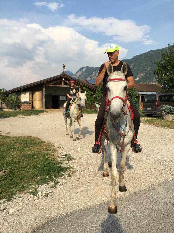 Agritur Airone Bed & Camping Levico Terme Zewnętrze zdjęcie