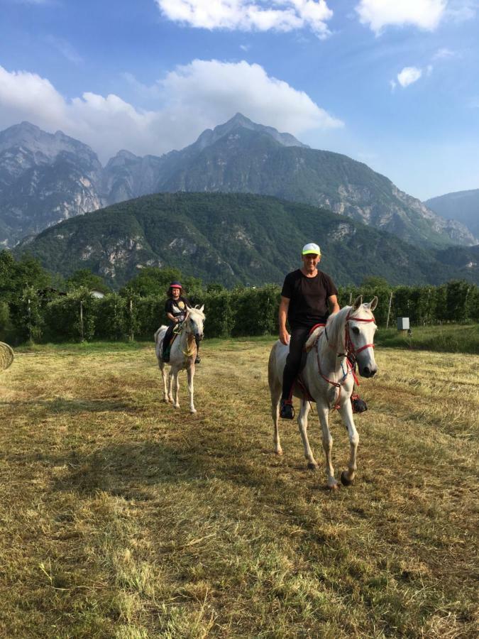 Agritur Airone Bed & Camping Levico Terme Zewnętrze zdjęcie